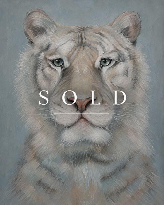 Cute Animal — 16 × 20 inches